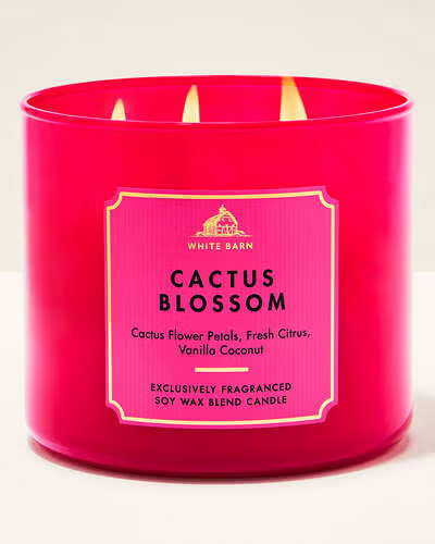 White Barn Cactus Blossom